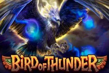 Bird of Thunder Online Casino Game