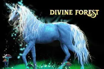 Divine Forest Online Casino Game