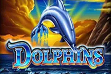 Dolphins Online Casino Game
