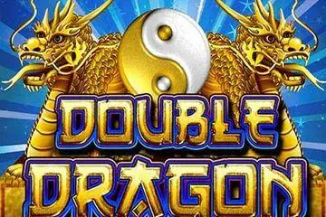 Double Dragon Online Casino Game