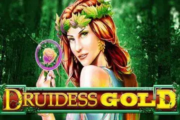 Druidess Gold Online Casino Game