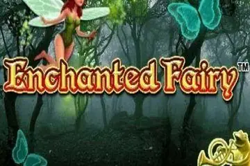 Enchanted Fairy Online Casino Game