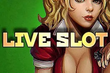 Live Slot Online Casino Game