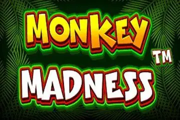 Monkey Madness Online Casino Game