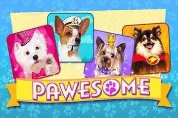 Pawesome Online Casino Game