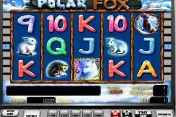 Polar Fox Online Casino Game
