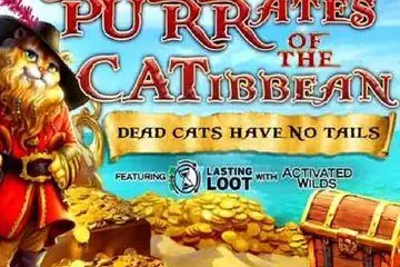 Purrates of The Catibbean Online Casino Game