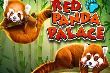 Red Panda Palace Online Casino Game