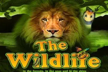 The Wildlife Online Casino Game