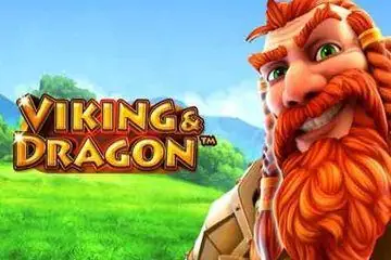 Viking & Dragon Online Casino Game