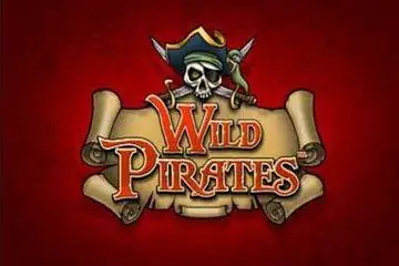 Wild Pirates Online Casino Game