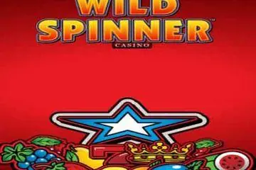 Wild Spinner Casino Online Casino Game